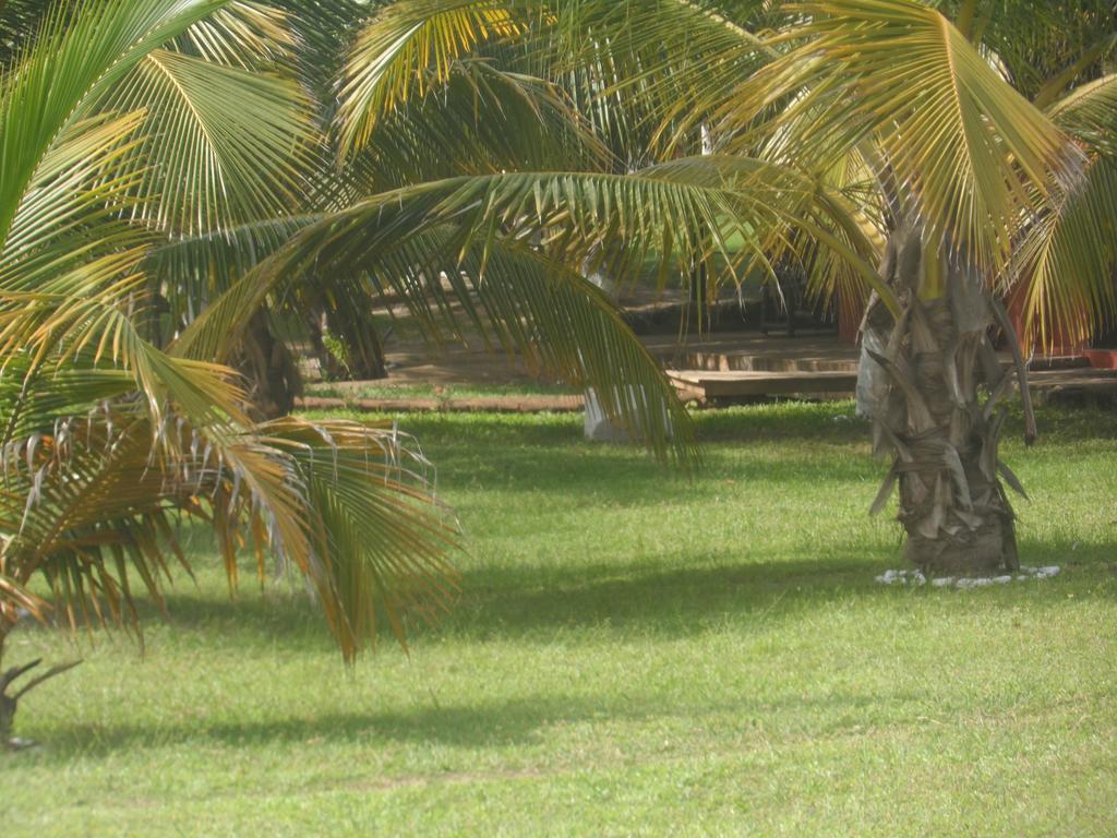 Legacy Tribe Beach Resort Prampram Zewnętrze zdjęcie